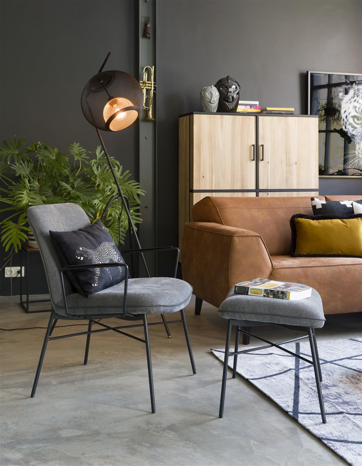 olta-ray-staunch-5048