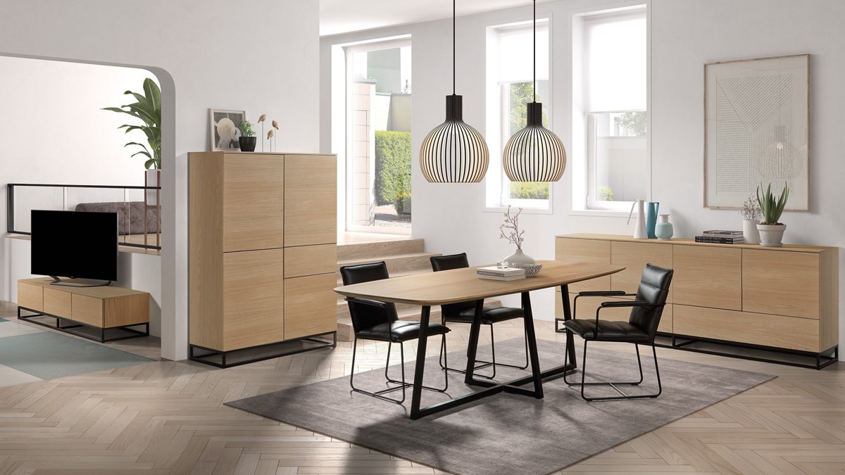 Theuns-salle-a-manger-century