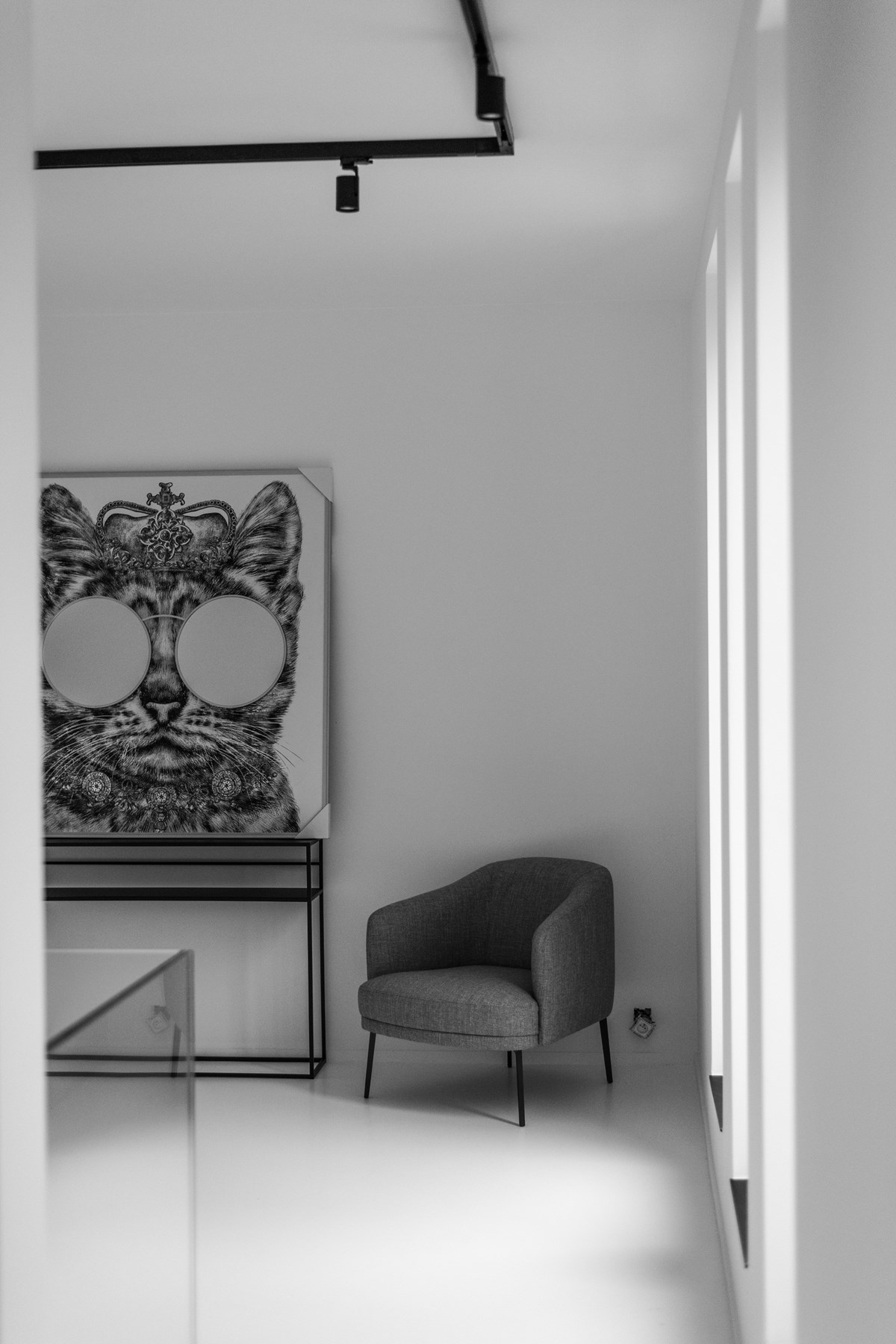 Delta-Constructions-Meubles-Mailleux-Maison-Contemporaine-10008